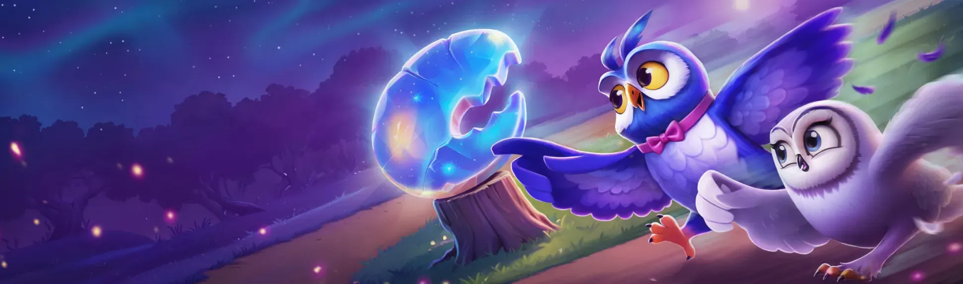 Shop Coin Exchange SpiNight